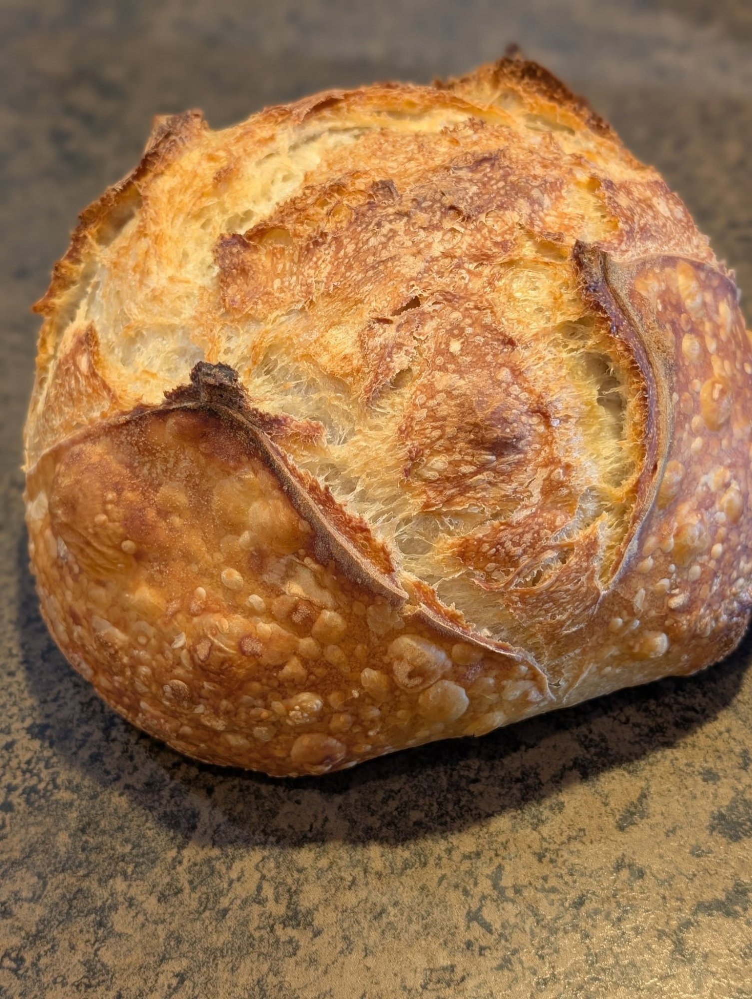 Photo of bread